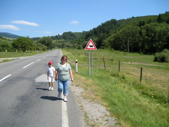 Obrázek