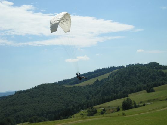 Obrázek